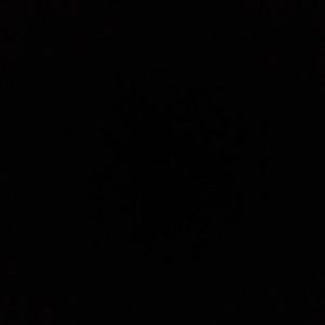 Meet your Posher, Pam